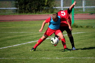 爱游戏体育直播-塔斯马尼亚联主帅强调团队配合，迎战欧洲劲旅