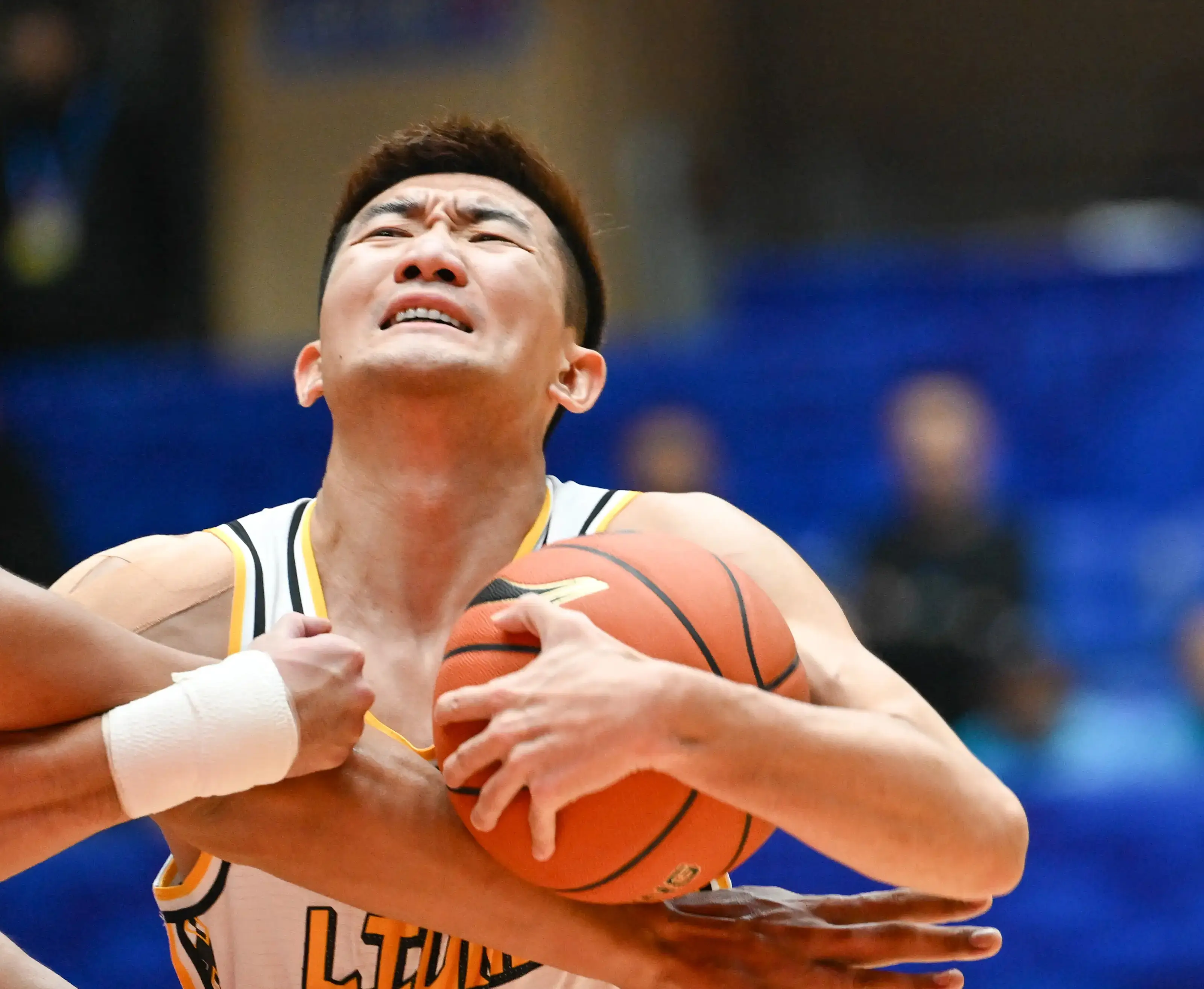 爱游戏app-浙江队主场击败辽宁，豪取两连胜的简单介绍