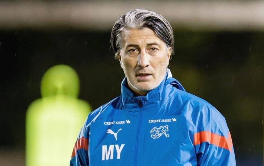 包含比利时队面对瑞士队，誓言取得胜利晋级的词条