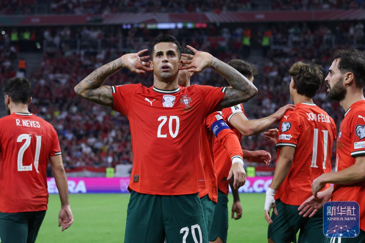 瑞士憾负葡萄牙，无缘欧锦赛四强的简单介绍